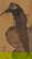 item-208191303=17