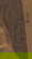 item-208191303=20