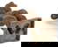 item-208301712=9