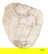 item-208301714=15