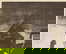 item-208301726=4