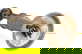 item-208301814=11