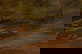 item-208301854=7