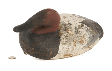 Chesapeake Bay Canvasback Drake Decoy
