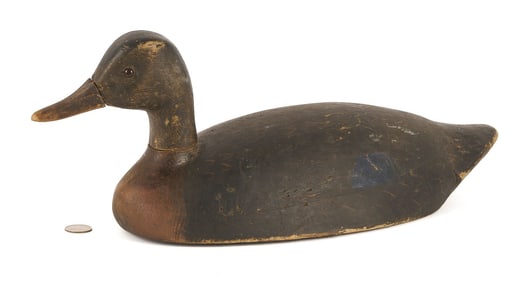 Billy Ellis Black Duck