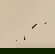 item-208301904=11