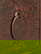 item-208301937=17