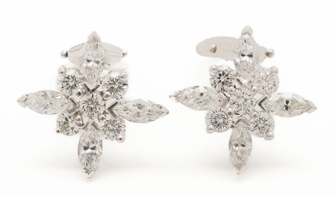 Platinum & Diamond Earrings