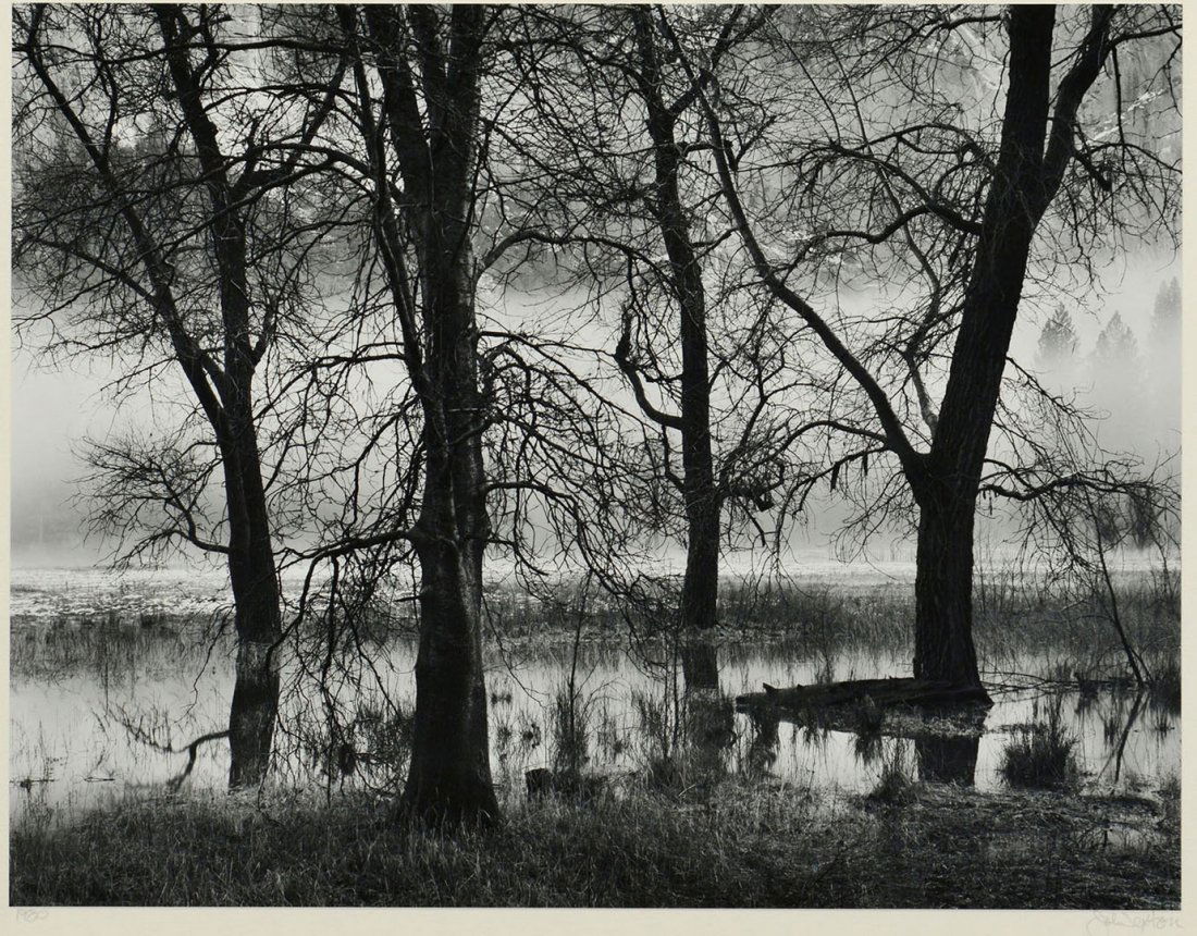 John Sexton Landscape Gelatin Silver Print: John Sexton (American, b. 1953). Gelatin silver print of a landscape, framed. Signed in pencil in lower LH margin, dated in pencil in lower RH margin. Sight: 11" H x 14" W. Frame: 16 3/8&quo