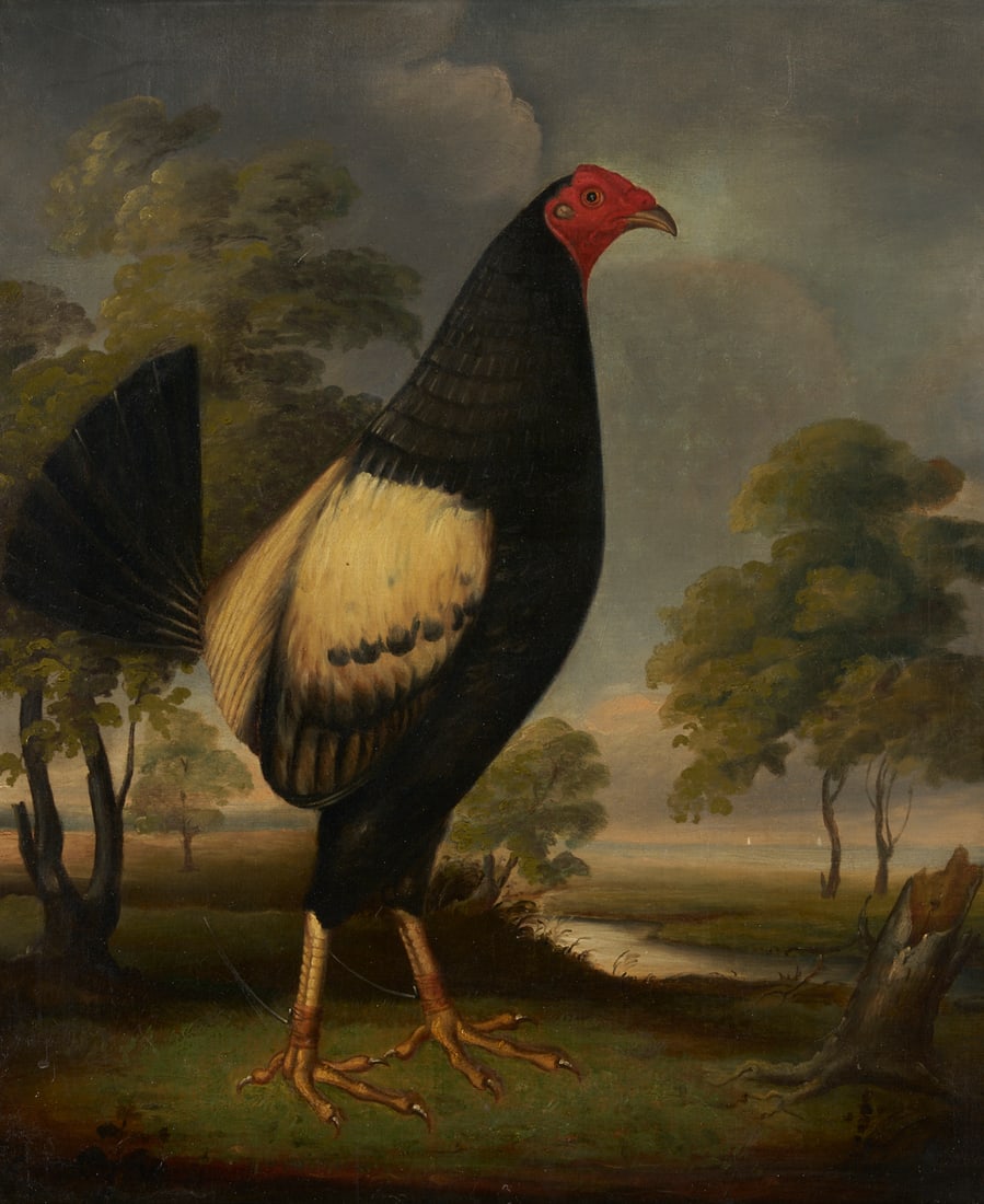 English O/C Painting of Fighting Cock, Likely James Barenger, Ex-Christie's: Oil on canvas painting of a fighting rooster or gamecock in a landscape. A cock with a trimmed tail and spurs on each leg stands before a tree-filled vista with a stream and distant ocean. Several