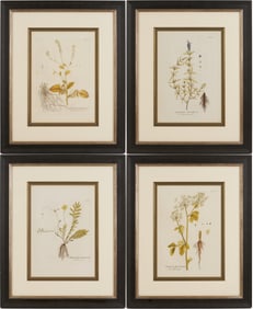 4 Framed 18th C.  Botanical Prints, J. von Plenck