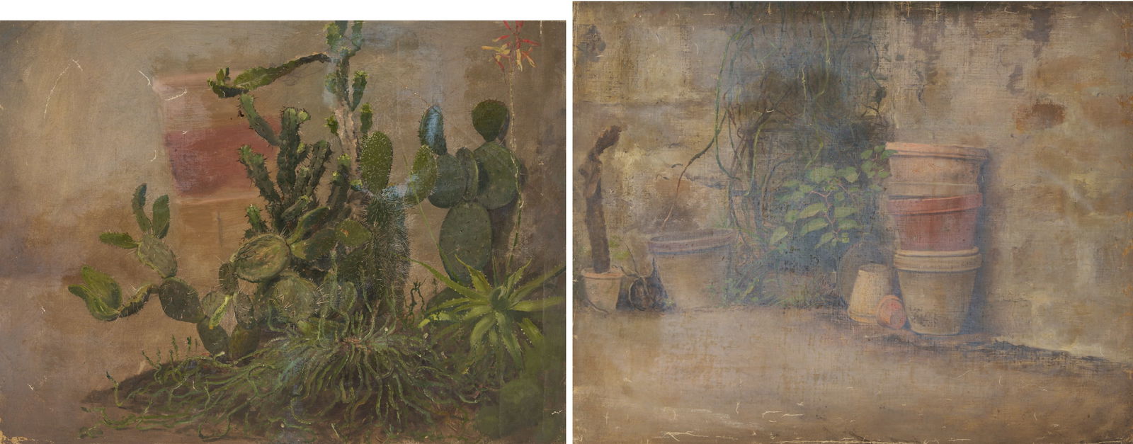 2 Carl Gutherz O/C Plant Studies Incl. Cactus (1 of 18)