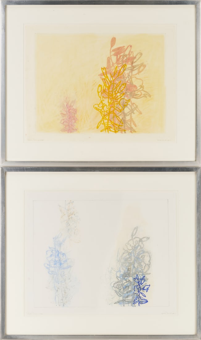 2 Rocio Rodriguez Pastel Botanical Drawings: Two (2) Rocio Rodriguez (Cuba/Georgia, b. 1952) pastel and oil pastel drawings on paper with botanical or vegetal forms. Item 1: Drawing in yellow and pink, 2003. Signed and dated in pencil,