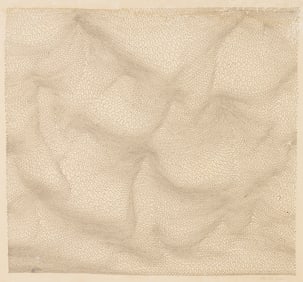 Oli Sihvonen Abstract Ink Drawing