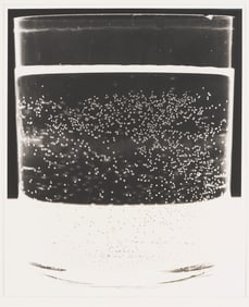 Amanda Means Framed Photograph, "Glass 3"