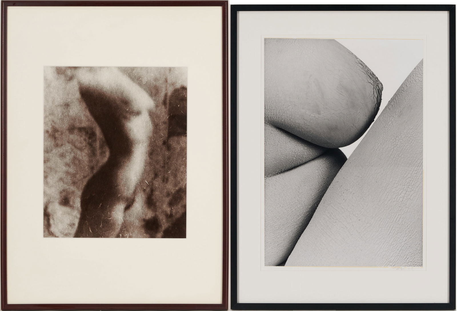 Stephen Coan and Will Wilson, 2 Contemporary Nude Photographs: 1st item: Stephen Coan (American, 20th/21st century) black and white silver gelatin photograph, "Rachel," that depicts the blurred, nude torso of a female. Housed in a brown
