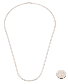 14K White Gold Omega Necklace