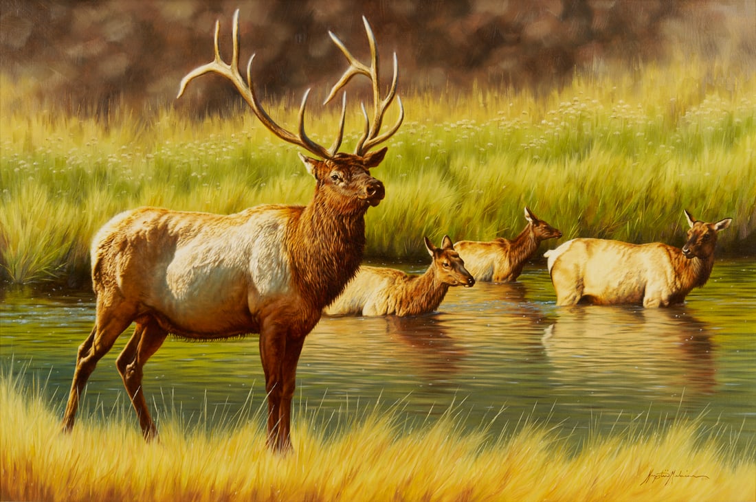 Krystii Melaine Western Wildlife Oil Painting, Elk (1 of 15)
