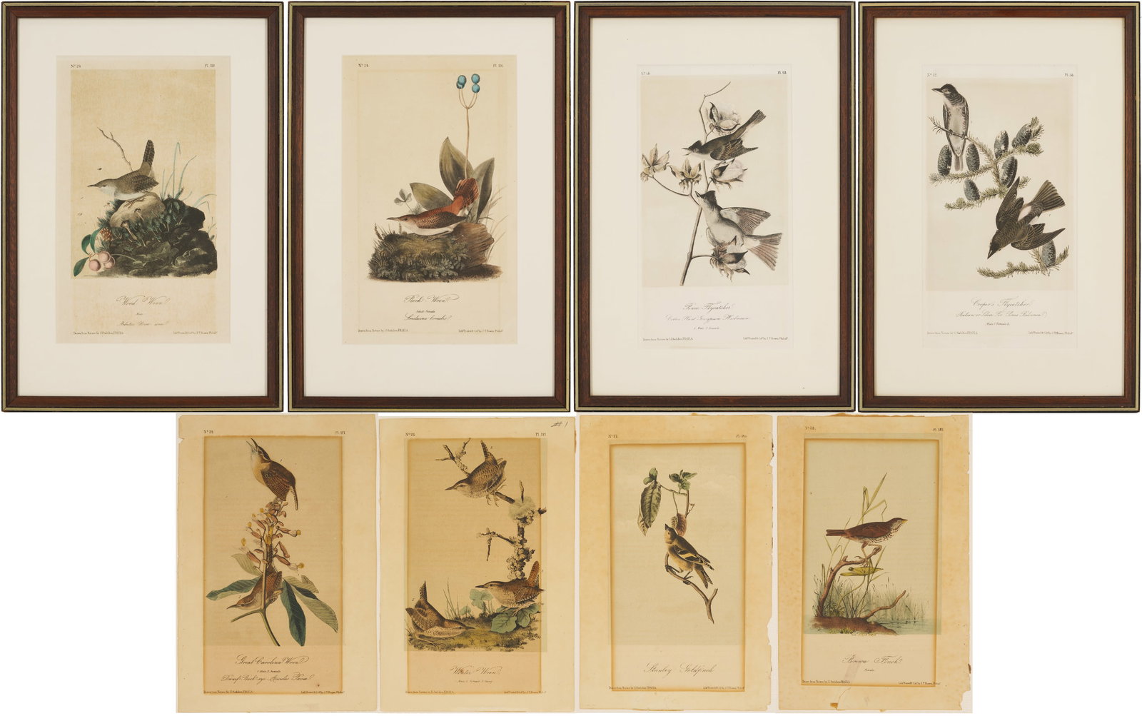 8 Audubon Birds of America Octavo Prints, Bowen (1 of 20)