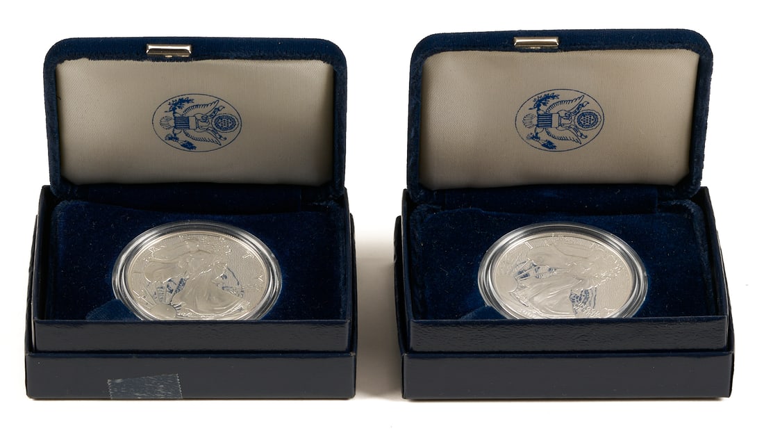 22 Assorted Silver Eagle $1 Coins - 5