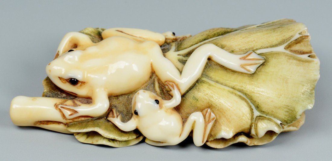 Japanese Ivory Netsuke, Frogs on lily pad: Japanese carved ivory figural netsuke of two frogs on a stained green lily pad. Signed on base of stem. 3-1/4" L x 1-3/4" W. Early 20th century. Note: this lot contains a substance which is protected 