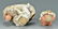 2 Meissen Figures: Tea and Music - 5