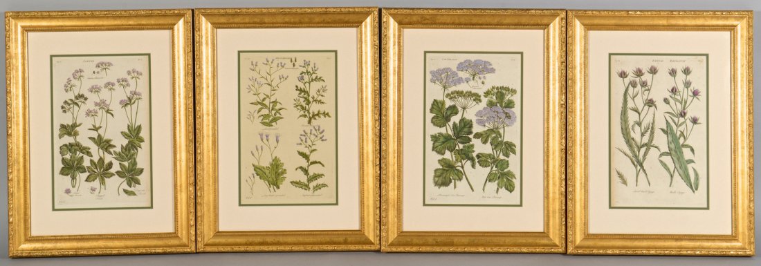 4 Botanical Engravings after John Hill: Four (4) botanical colored engravings after Sir John Hill (English, 1716-1775) from The Vegetable System, published 1759. Titles include- 1: Cow Parsnep, Pl. 39, 2: Groundsel., Pl. 108, 3: Sanicle. Pl