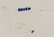 Wedgwood Rouen Porcelain Service - 7