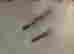 item-38159966=10