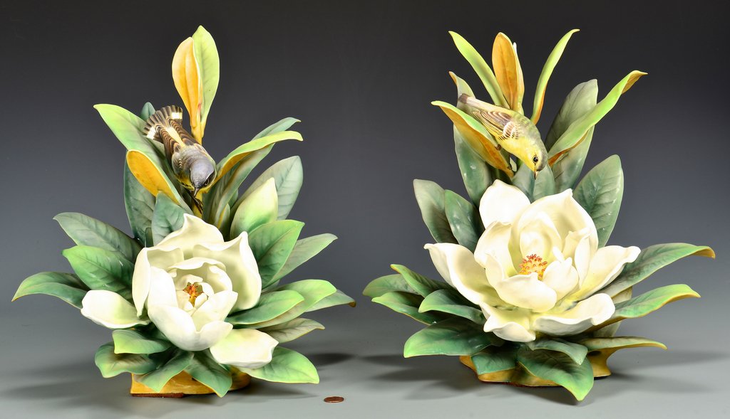 Pair Dorothy Doughty Magnolia Warblers (1 of 9)