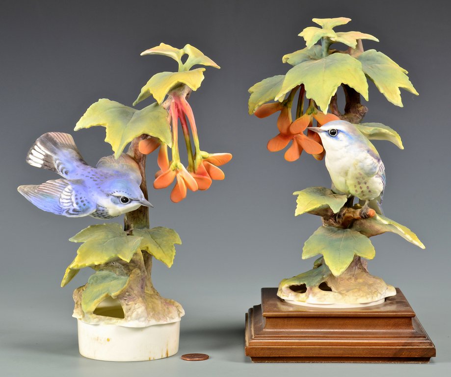 Pair Dorothy Doughty Cerulean Warblers (1 of 10)
