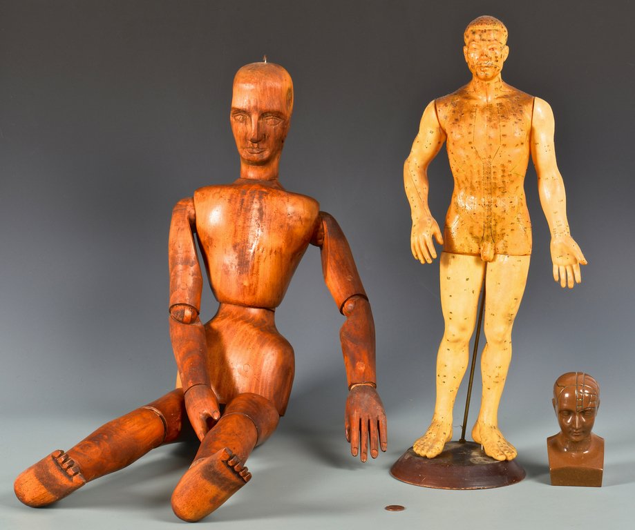3 Male Form Teaching/Medical Models (1 of 10)