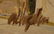 Job DeVogel Oil on Canvas - 8