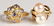 4 14K Yellow Gold Ladies Rings; 1 10K - 7