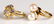 4 14K Yellow Gold Ladies Rings; 1 10K - 8