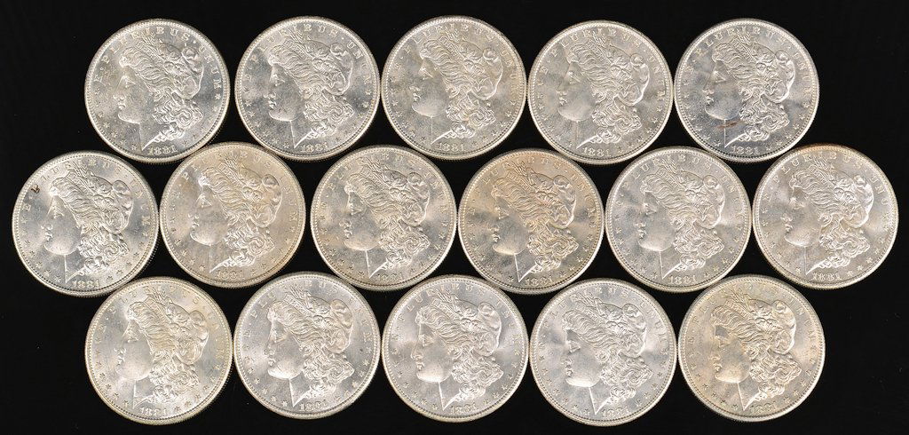 16 Uncirculated 1881 Morgan Silver Dollars (1 of 7)