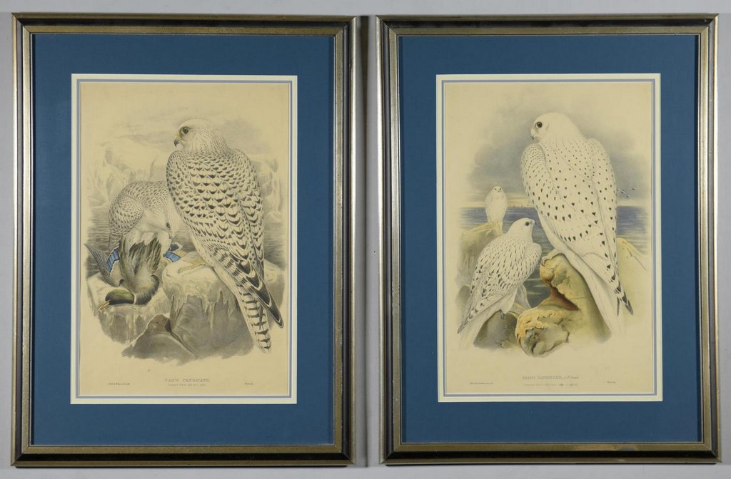 Pr Falcon Lithographs w/ Book (1 of 10)
