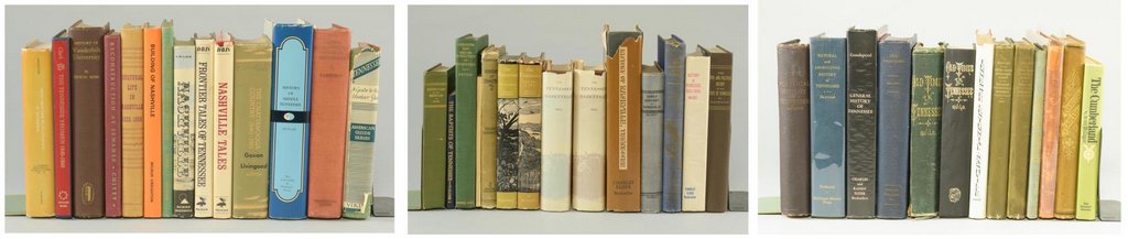 Lot of 41 Tennessee History Books (1 of 6)