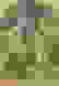 item-49973342=2