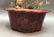 Chinese jade/stone bonsai tree in lacquer planter - 4