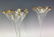 A PAIR OF GILT AND ENAMELED MOSER VASES - 3