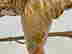 item-121253609=6