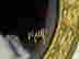 item-121258950=4