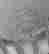 item-121299579=3