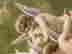 item-121313189=3