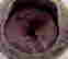 item-122143110=2