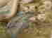 item-128989252=3