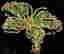 item-131296253=5