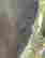 item-131705803=3