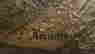 item-131979684=2